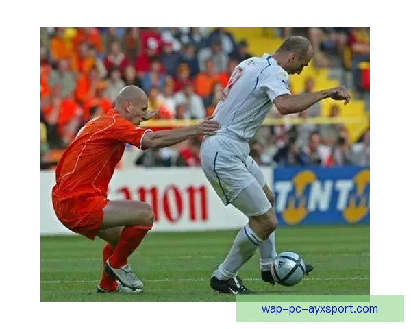 橙衣军团齐聚绿茵场定格荷兰足球队集体荣耀瞬间经典合影时刻